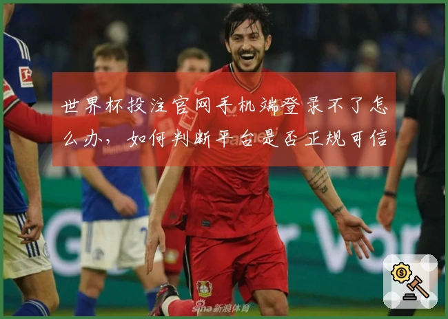 世界杯投注官网手机端登录不了怎么办，如何判断平台是否正规可信