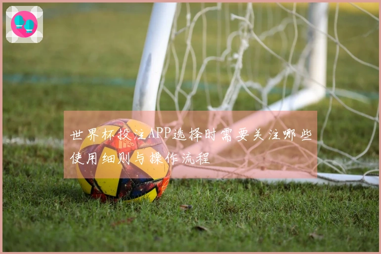 世界杯投注APP选择时需要关注哪些使用细则与操作流程