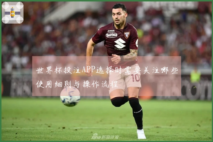 世界杯投注APP选择时需要关注哪些使用细则与操作流程