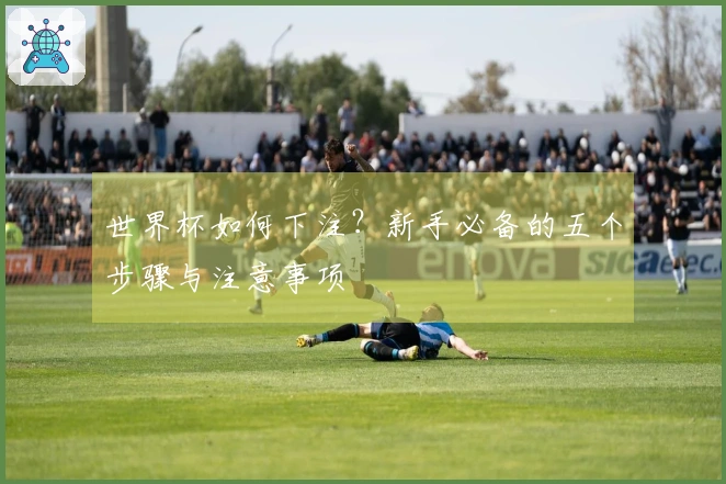 世界杯如何下注？新手必备的五个步骤与注意事项