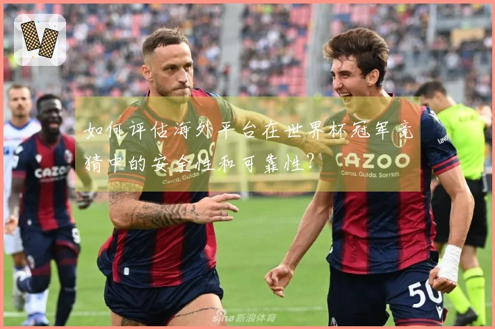 如何评估海外平台在世界杯冠军竞猜中的安全性和可靠性？