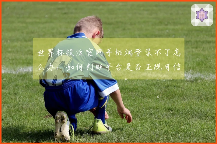 世界杯投注官网手机端登录不了怎么办，如何判断平台是否正规可信
